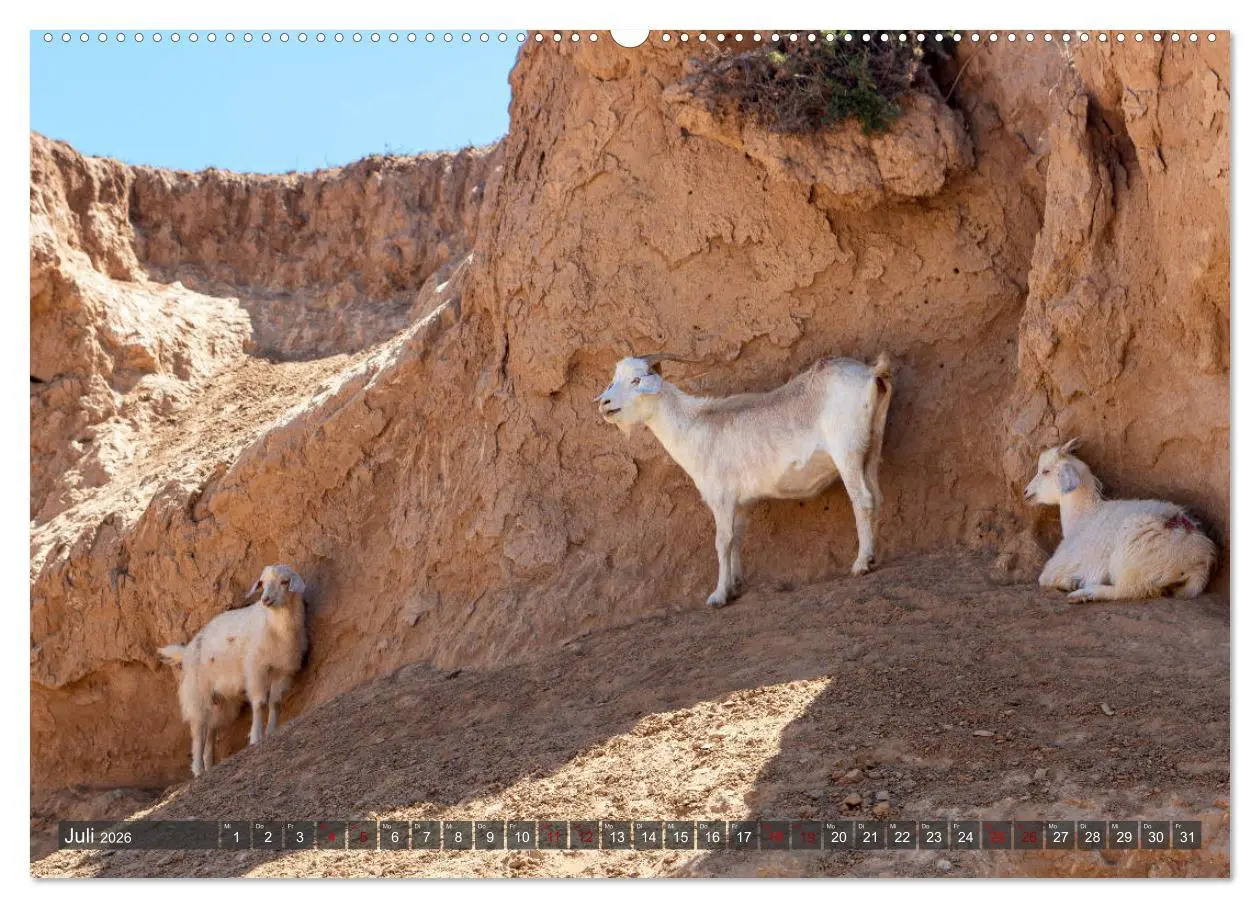 Bild: 9783457750513 | Kasachstan und Kirgistan (Wandkalender 2026 DIN A2 quer), CALVENDO...