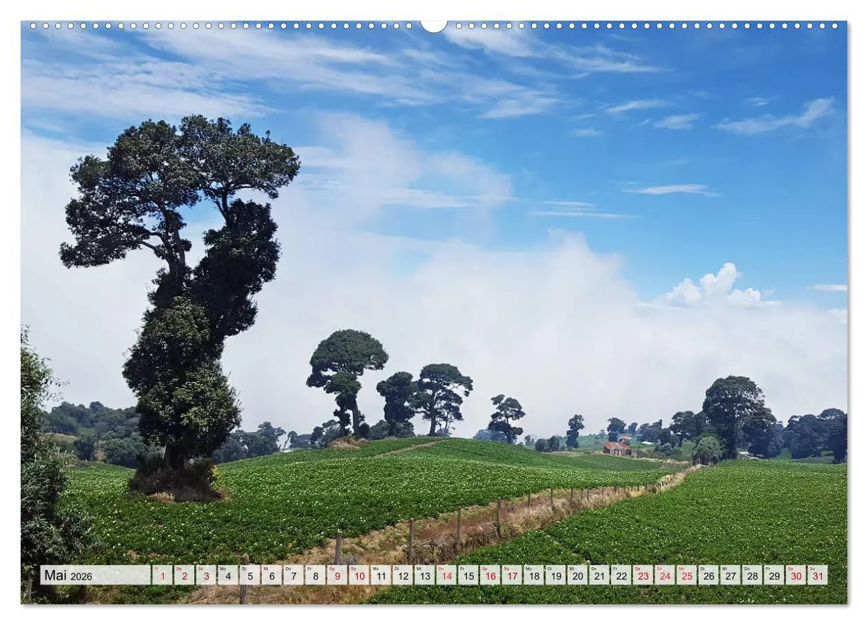 Bild: 9783457820513 | Costa Rica - Lebensfreude pur (Wandkalender 2026 DIN A2 quer),...