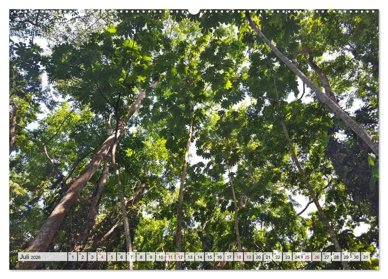 Bild: 9783457820513 | Costa Rica - Lebensfreude pur (Wandkalender 2026 DIN A2 quer),...
