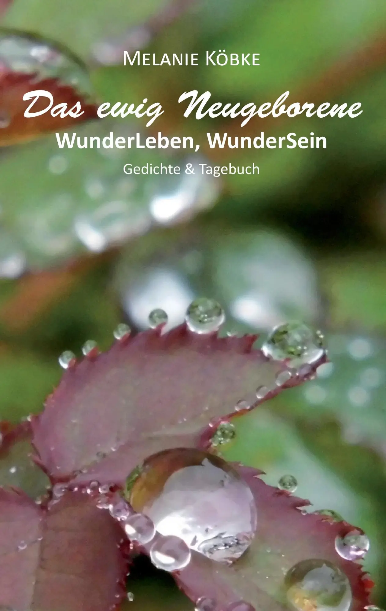 Cover: 9783734570513 | Das ewig Neugeborene | WunderLeben, WunderSein - Gedichte &amp; Tagebuch