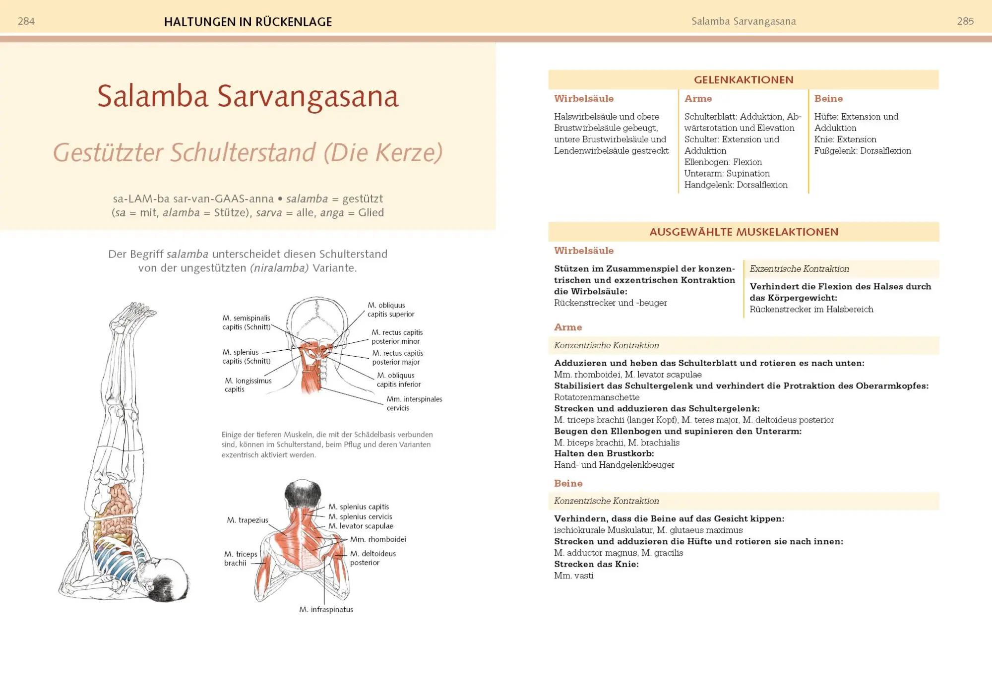 Bild: 9783742320513 | Yoga-Anatomie | Leslie Kaminoff (u. a.) | Taschenbuch | 384 S. | 2022