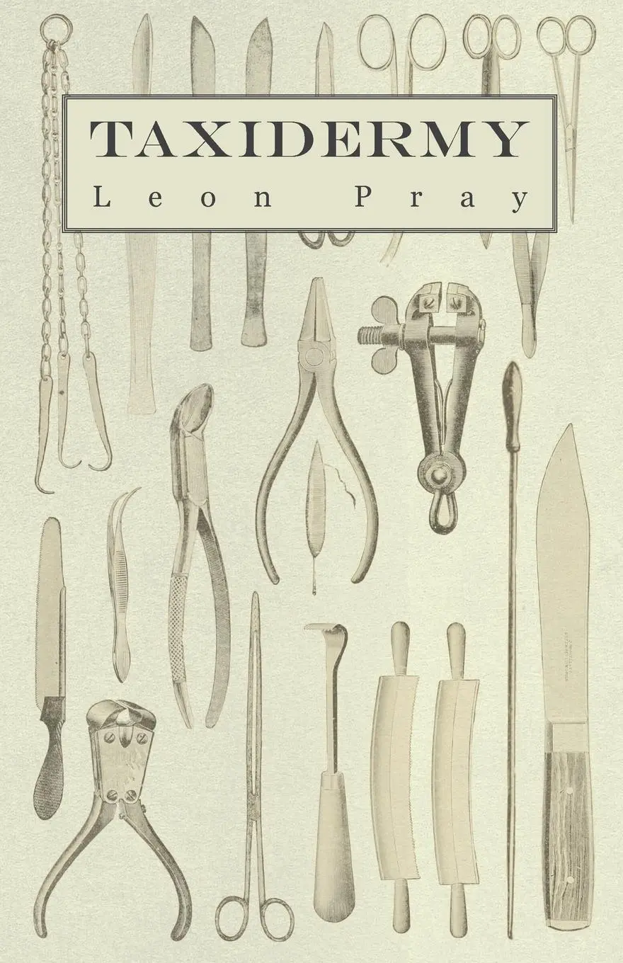 Cover: 9781445510613 | Taxidermy | Leon Pray | Taschenbuch | Englisch | 2010 | Read Books