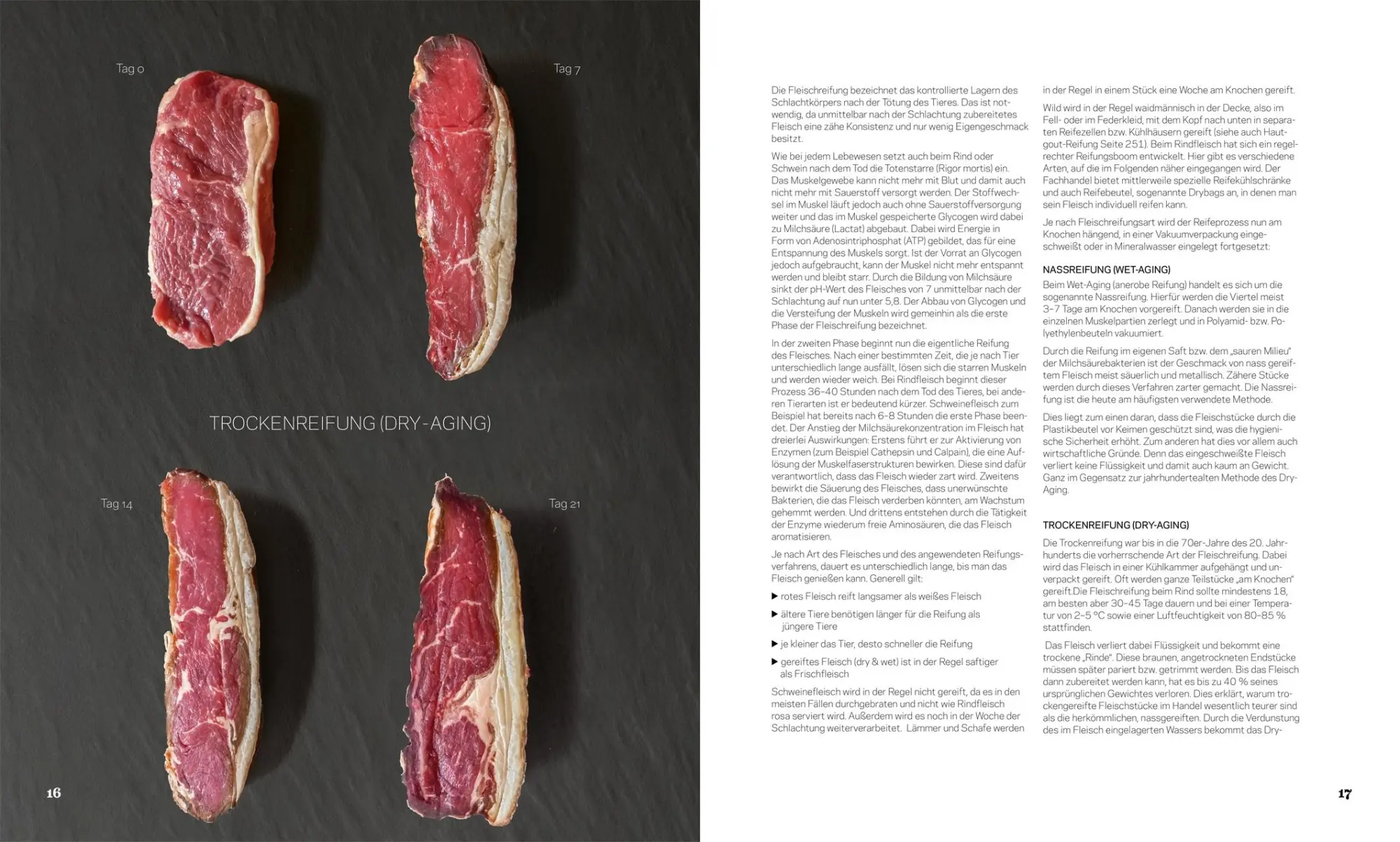 Bild: 9783985410613 | Fleisch | Rezepte und Praxiswissen zu besonderen Fleischstücken | Buch