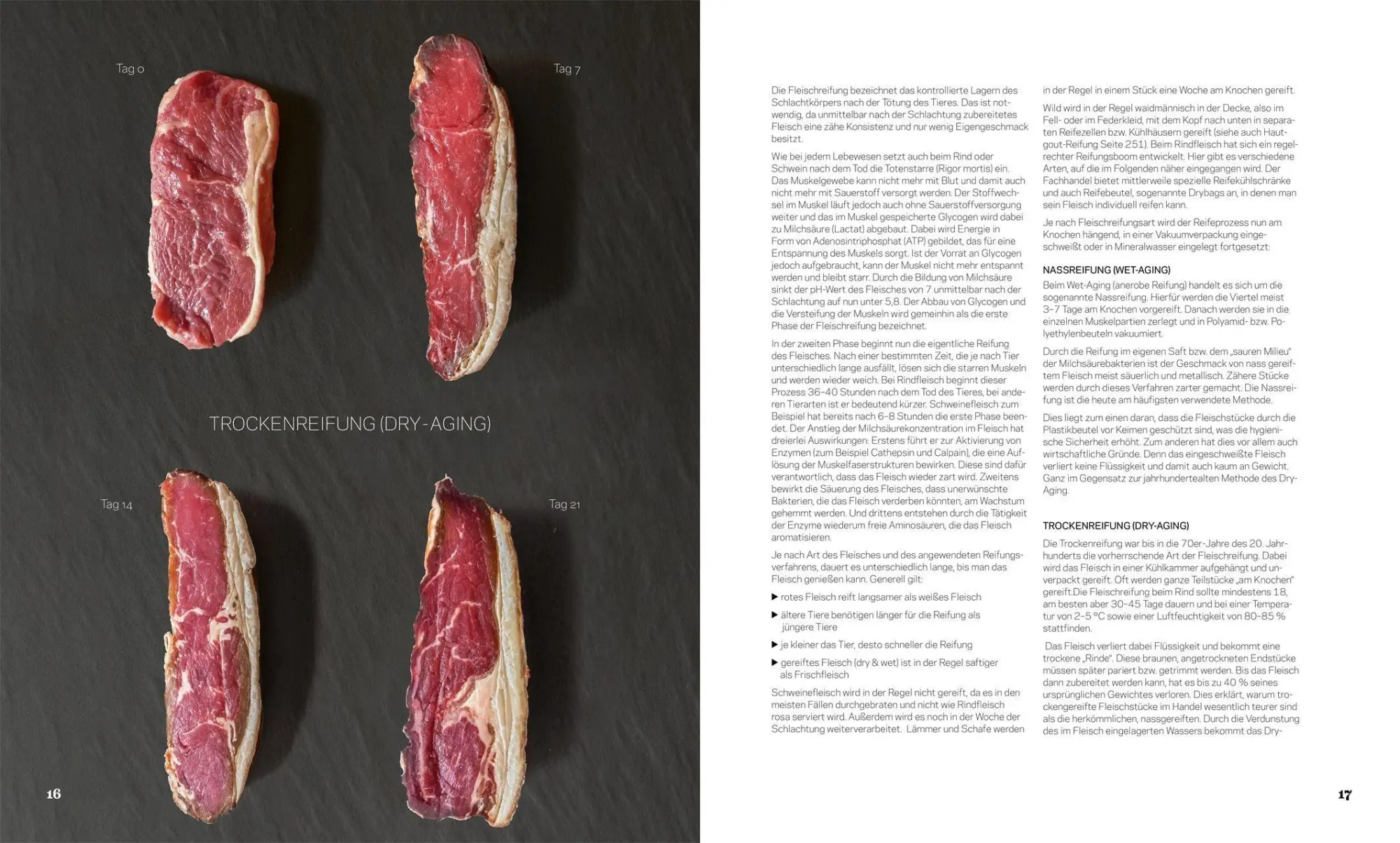Bild: 9783985410613 | Fleisch | Rezepte und Praxiswissen zu besonderen Fleischstücken | Buch