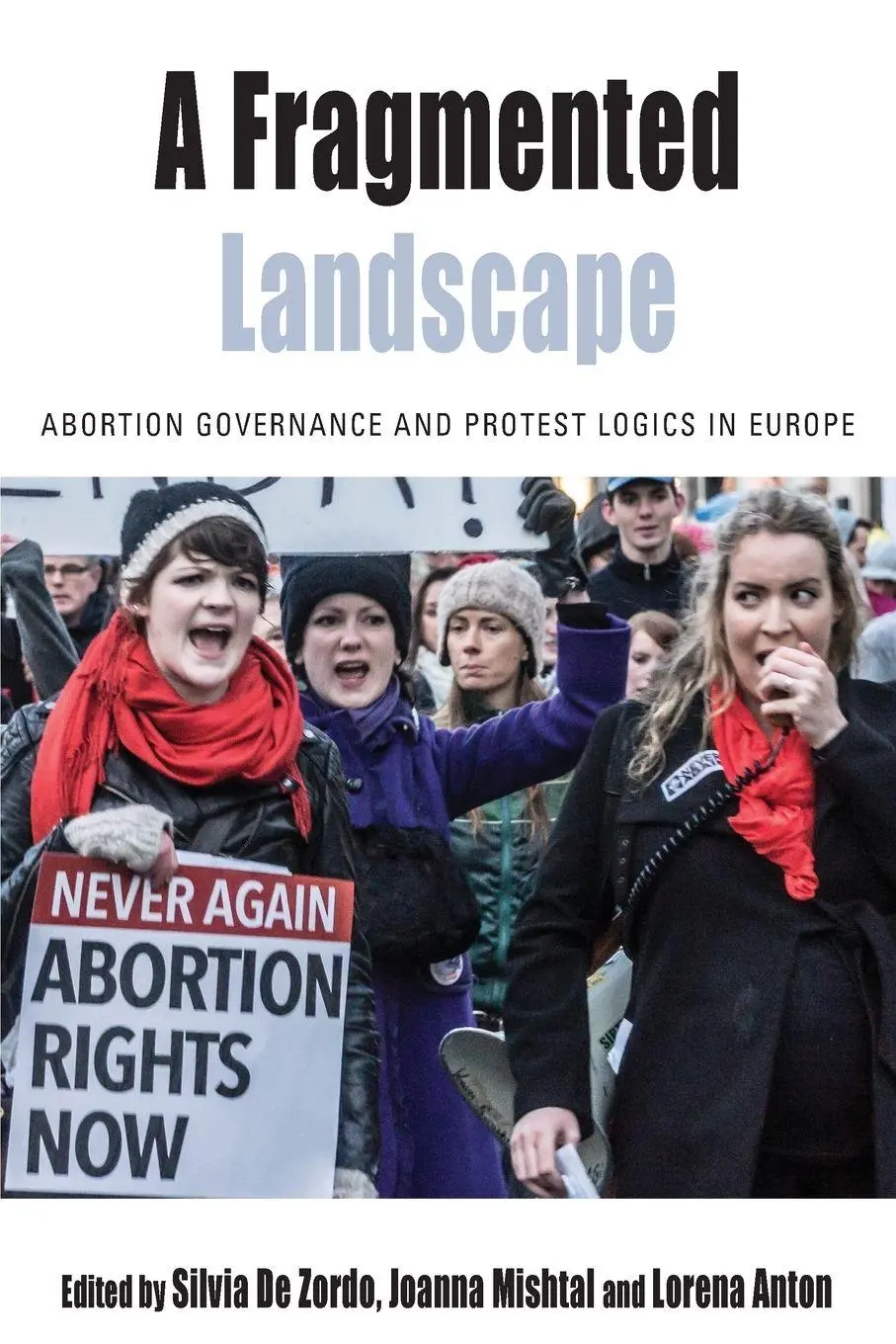 Cover: 9781789200713 | A Fragmented Landscape | Silvia de Zordo (u. a.) | Taschenbuch | 2018
