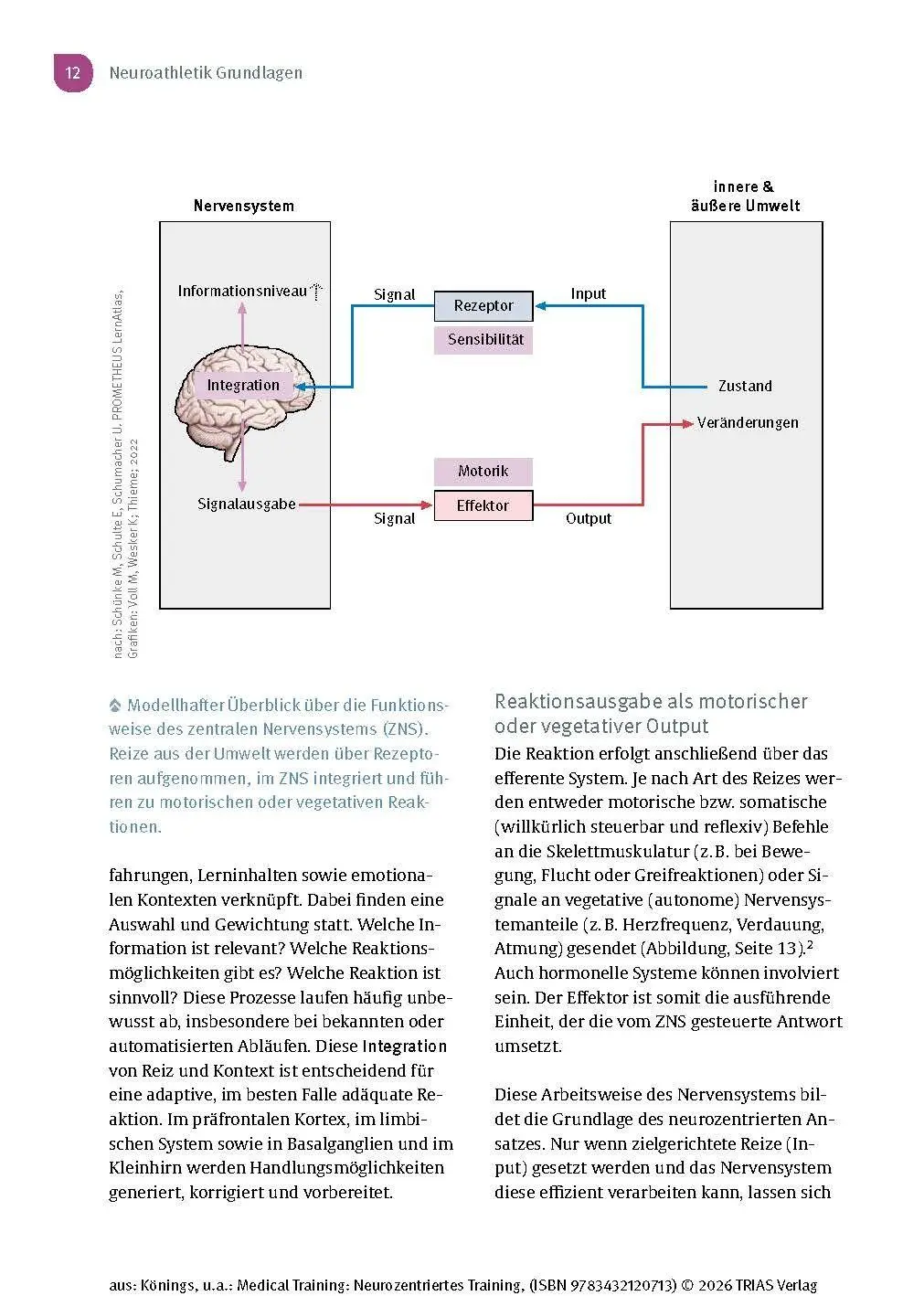 Bild: 9783432120713 | Medical Training: Neurozentriertes Training | Andreas Könings (u. a.)