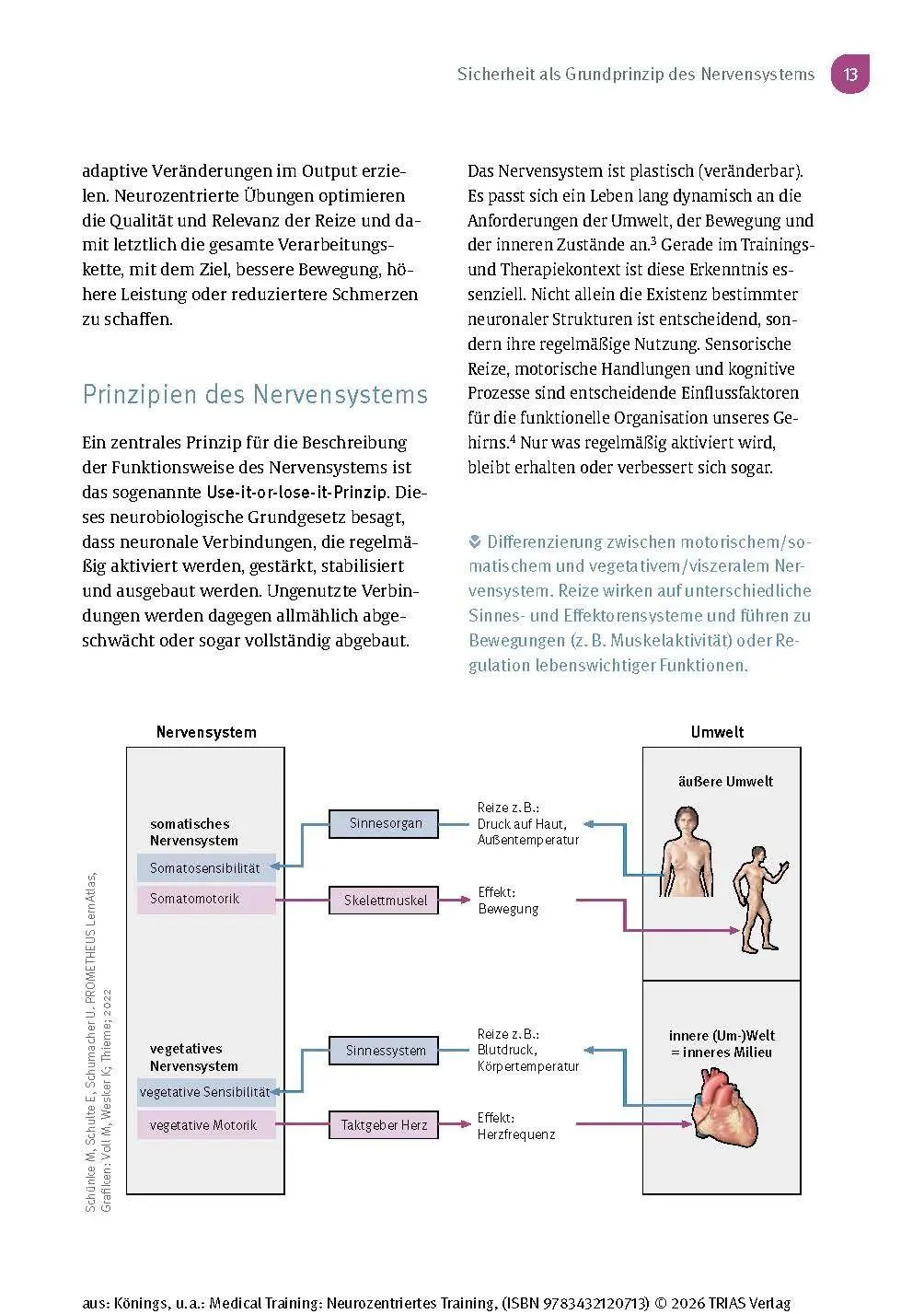 Bild: 9783432120713 | Medical Training: Neurozentriertes Training | Andreas Könings (u. a.)
