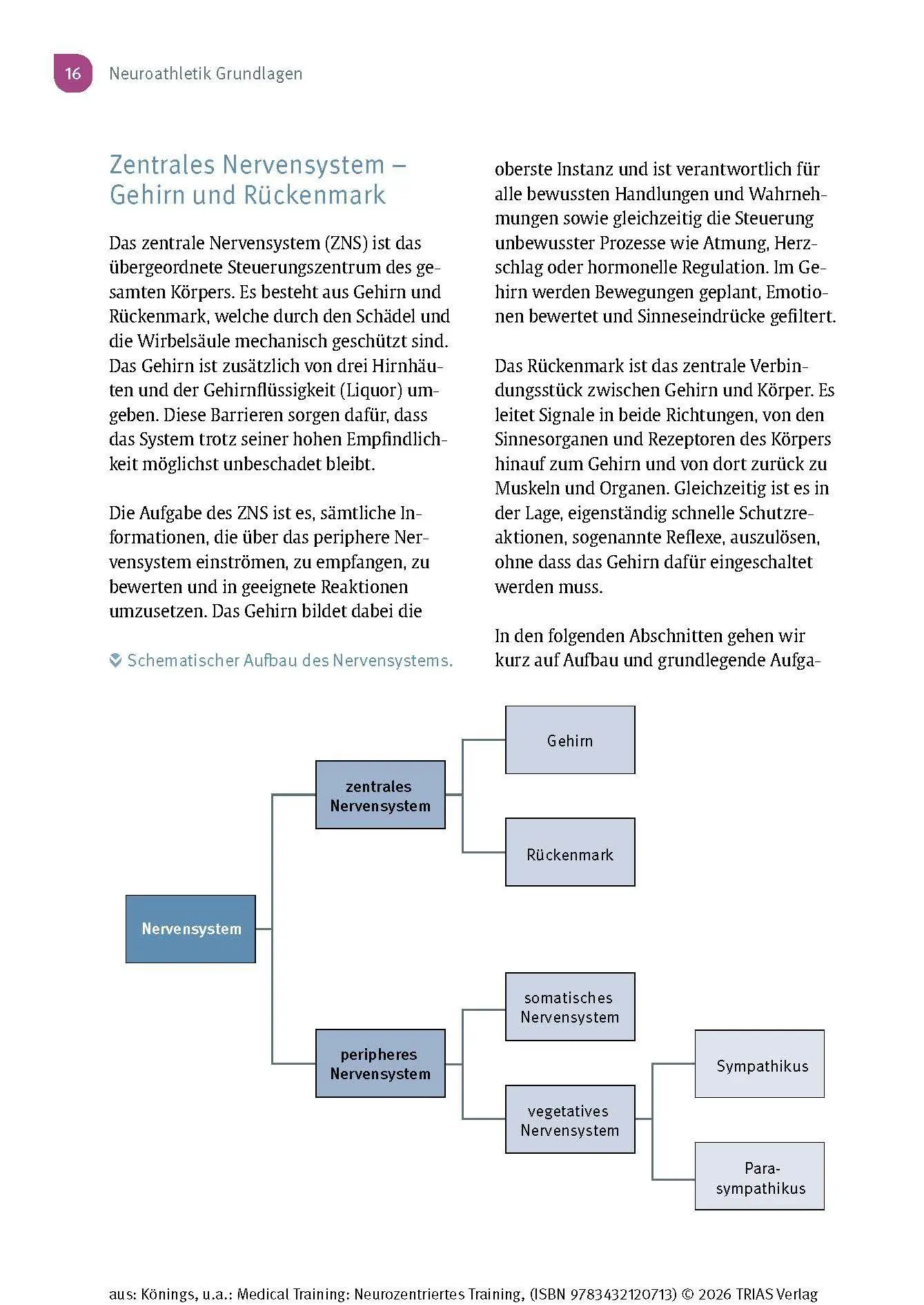 Bild: 9783432120713 | Medical Training: Neurozentriertes Training | Andreas Könings (u. a.)