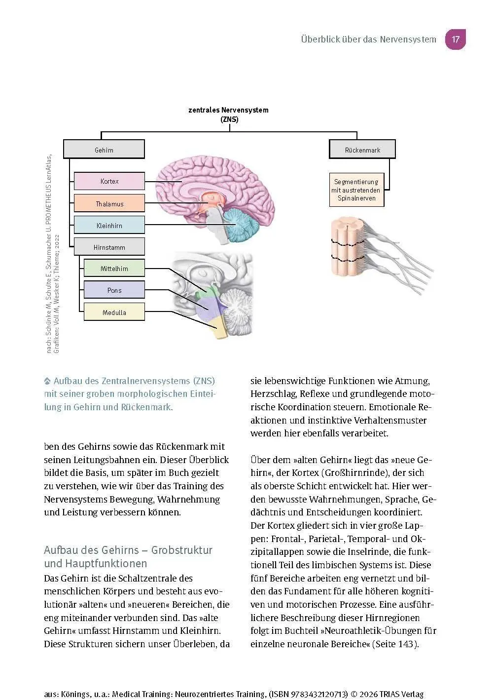 Bild: 9783432120713 | Medical Training: Neurozentriertes Training | Andreas Könings (u. a.)