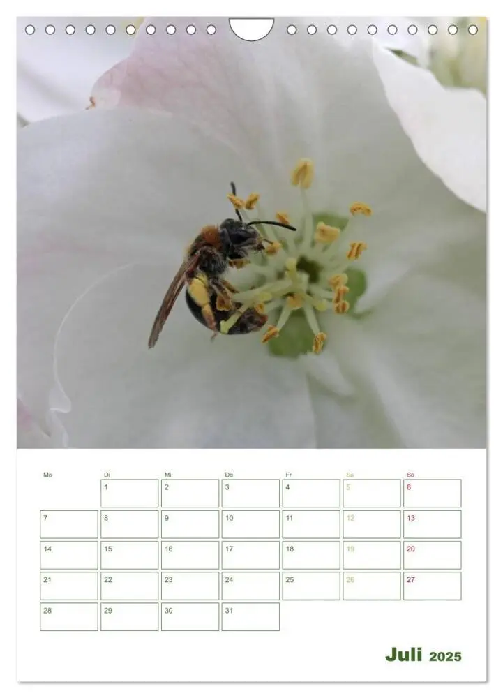 Bild: 9783457030813 | Bienen-Terminplaner 2025 (Wandkalender 2025 DIN A4 hoch), CALVENDO...
