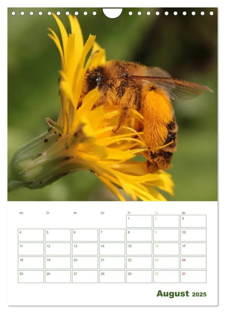 Bild: 9783457030813 | Bienen-Terminplaner 2025 (Wandkalender 2025 DIN A4 hoch), CALVENDO...