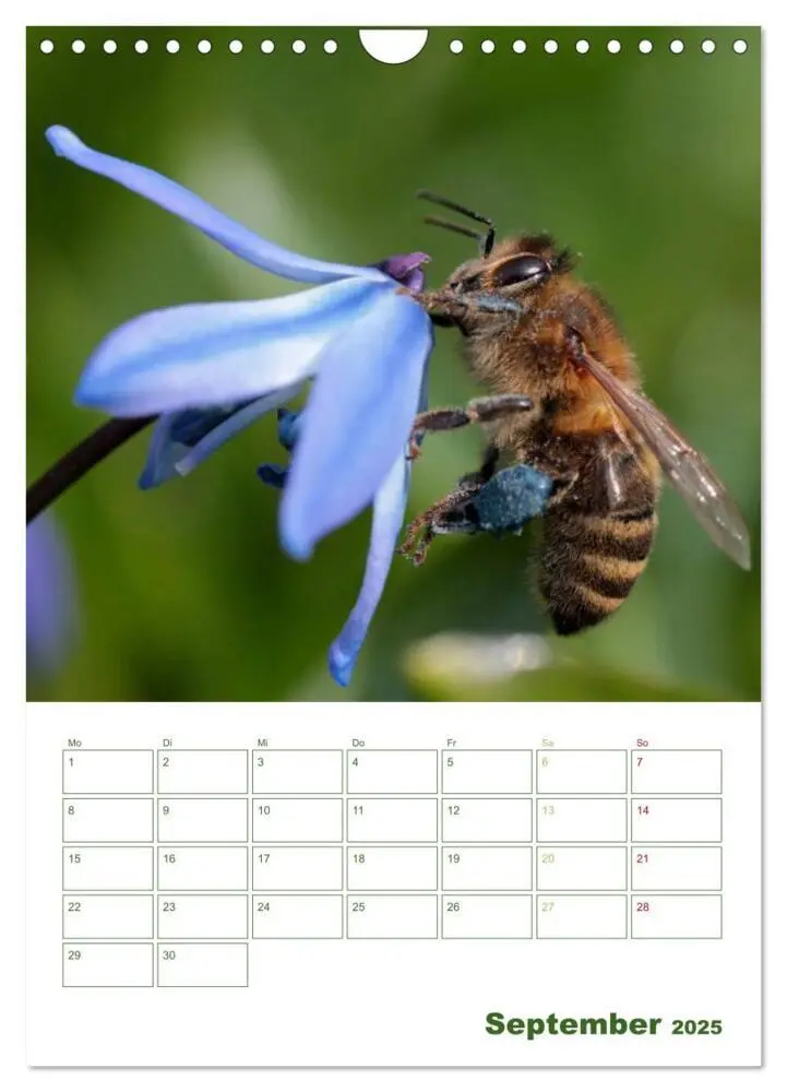 Bild: 9783457030813 | Bienen-Terminplaner 2025 (Wandkalender 2025 DIN A4 hoch), CALVENDO...
