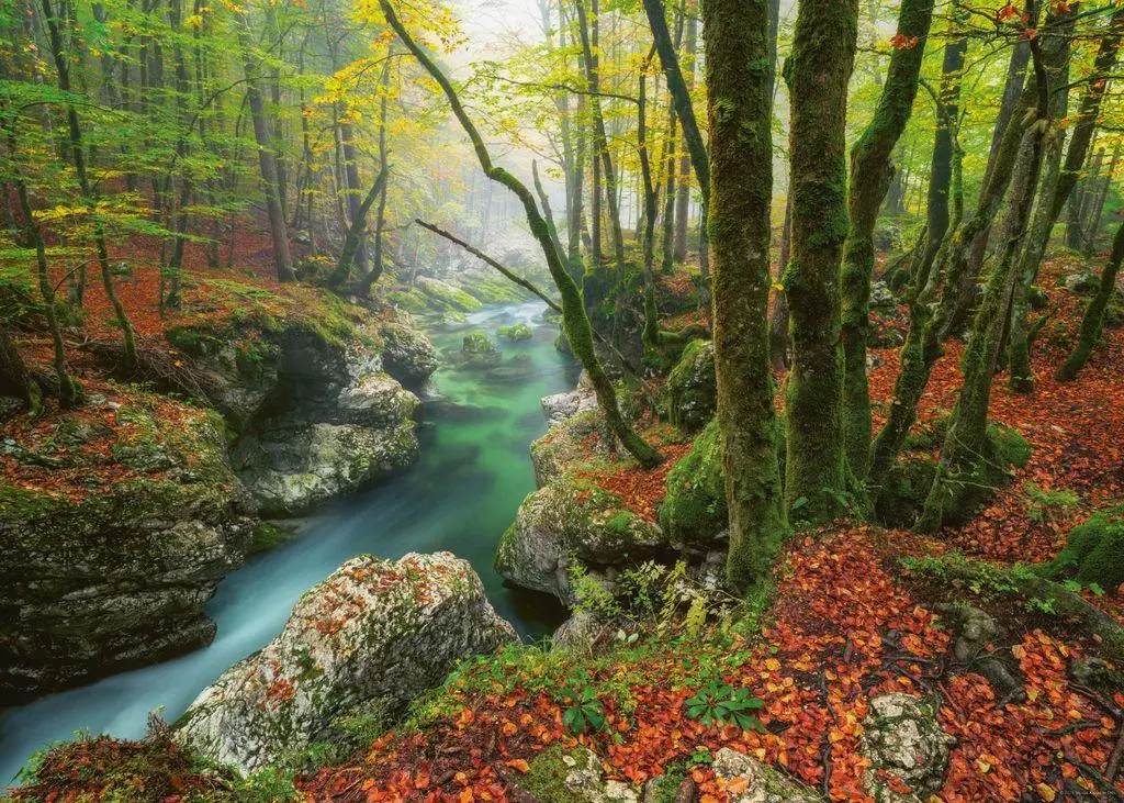 Bild: 4001689300913 | Little Brook | 1000 Teile | Spiel | Magic Forests Puzzle Heye | 30091