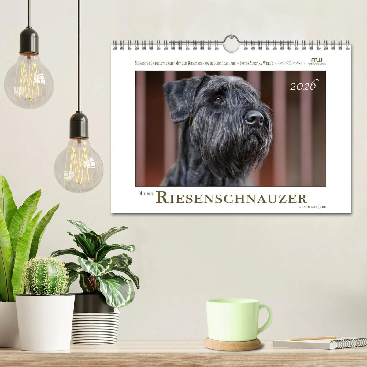 Bild: 9783457330913 | Mit dem Riesenschnauzer durch das Jahr (Wandkalender 2026 DIN A4...