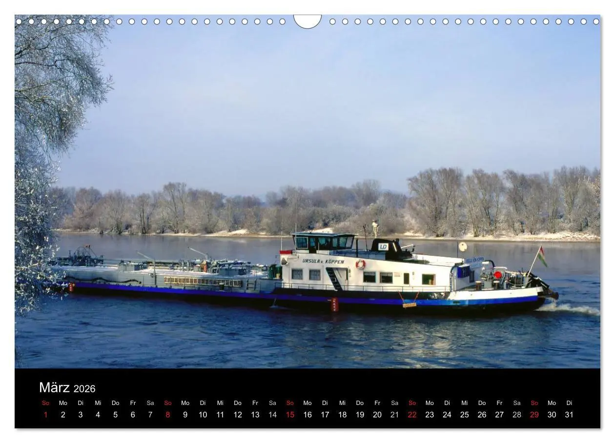 Bild: 9783516110913 | Bayerischer Wald (Wandkalender 2026 DIN A3 quer), CALVENDO...