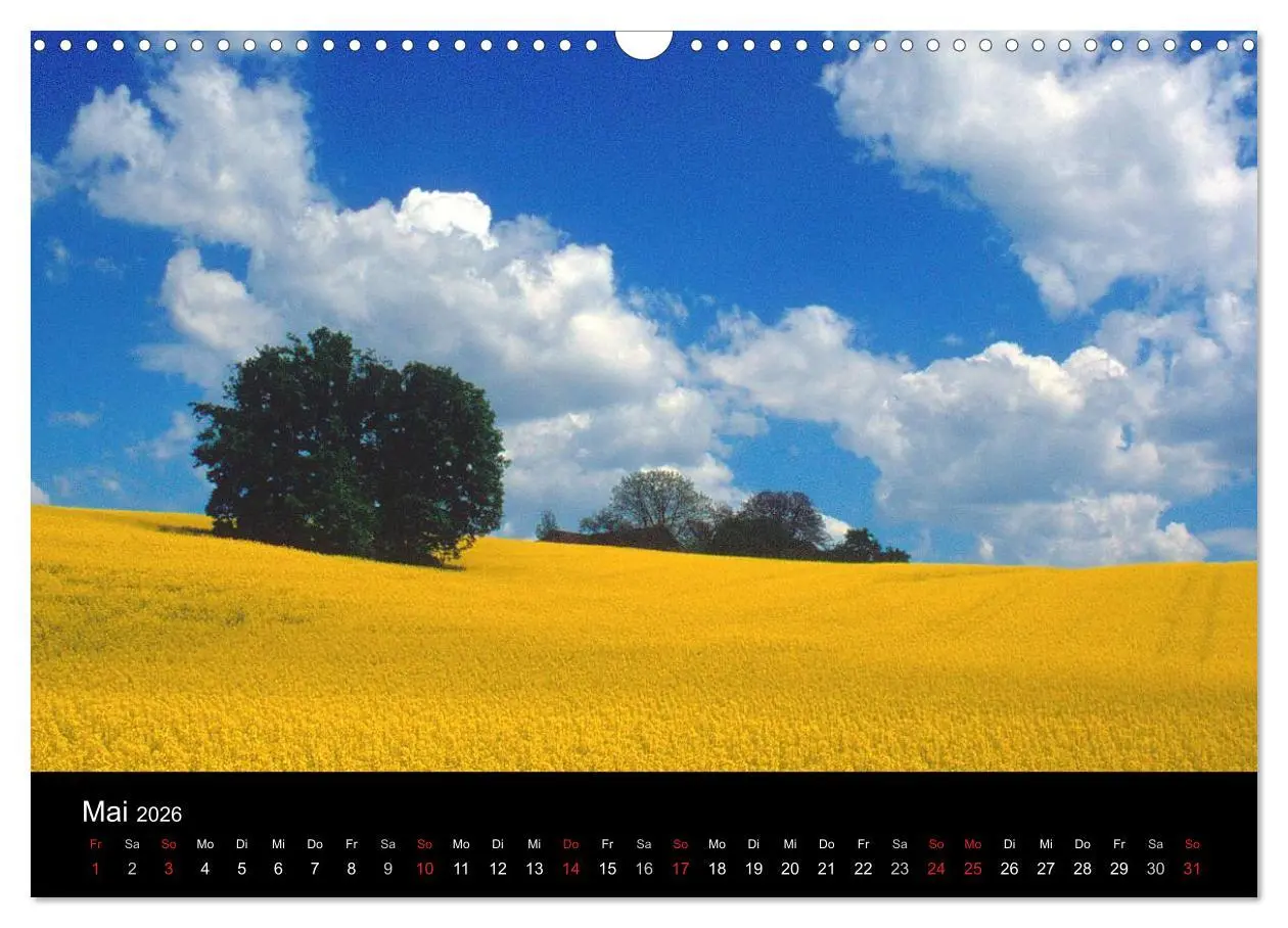 Bild: 9783516110913 | Bayerischer Wald (Wandkalender 2026 DIN A3 quer), CALVENDO...