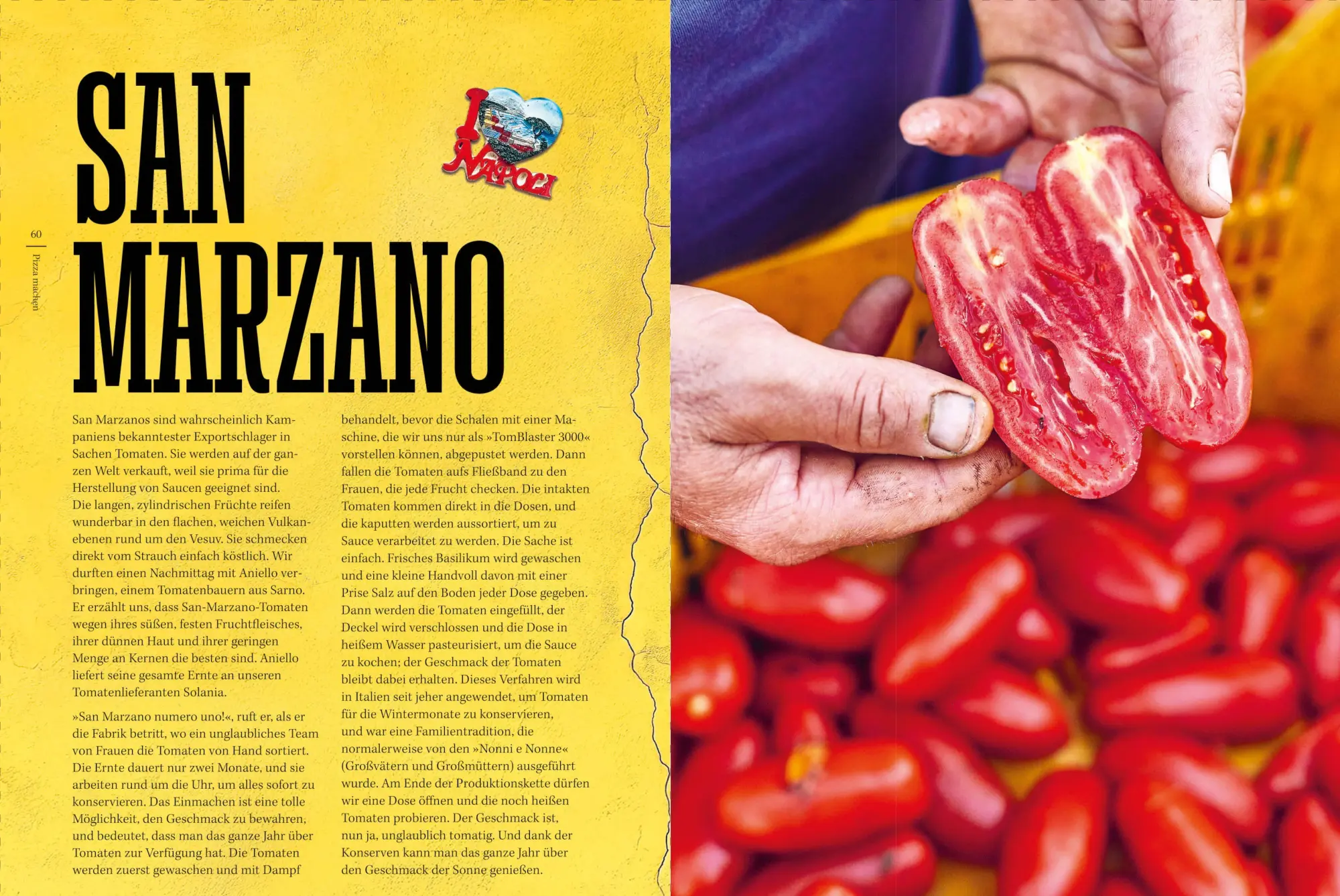 Bild: 9783989510913 | Pizza Napoli | Originalrezepte und Geschichten aus Neapel | Buch