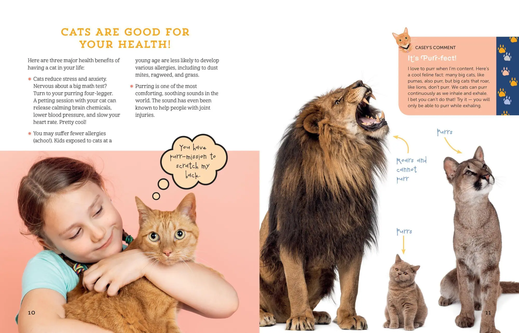 Bild: 9781635861013 | A Kid's Guide to Cats | Arden Moore | Taschenbuch | Englisch | 2020
