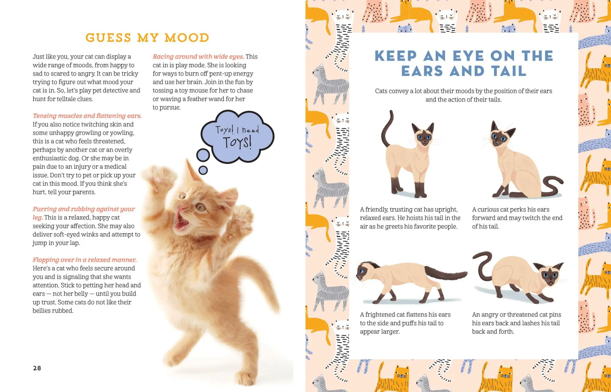 Bild: 9781635861013 | A Kid's Guide to Cats | Arden Moore | Taschenbuch | Englisch | 2020