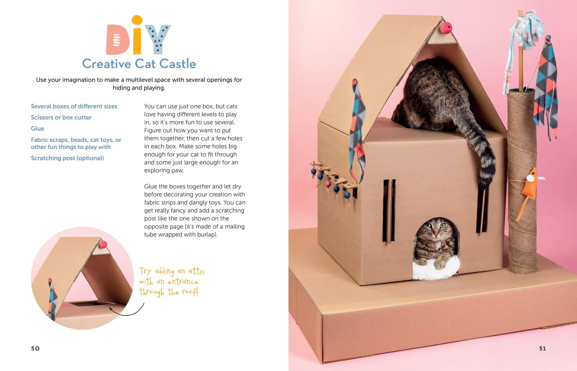 Bild: 9781635861013 | A Kid's Guide to Cats | Arden Moore | Taschenbuch | Englisch | 2020