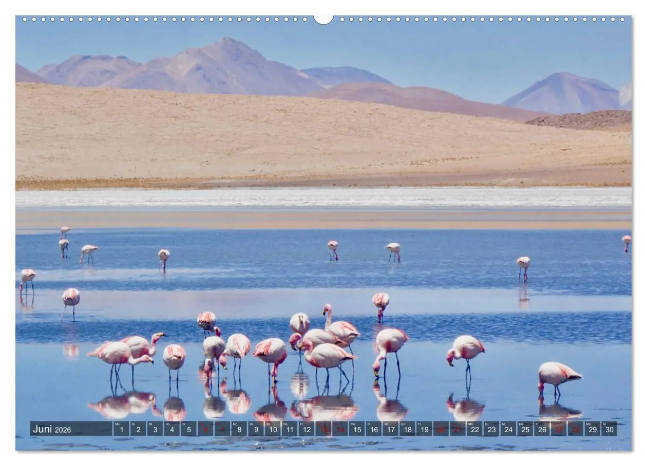 Bild: 9783457841013 | Peru Bolivien Chile (Wandkalender 2026 DIN A2 quer), CALVENDO...