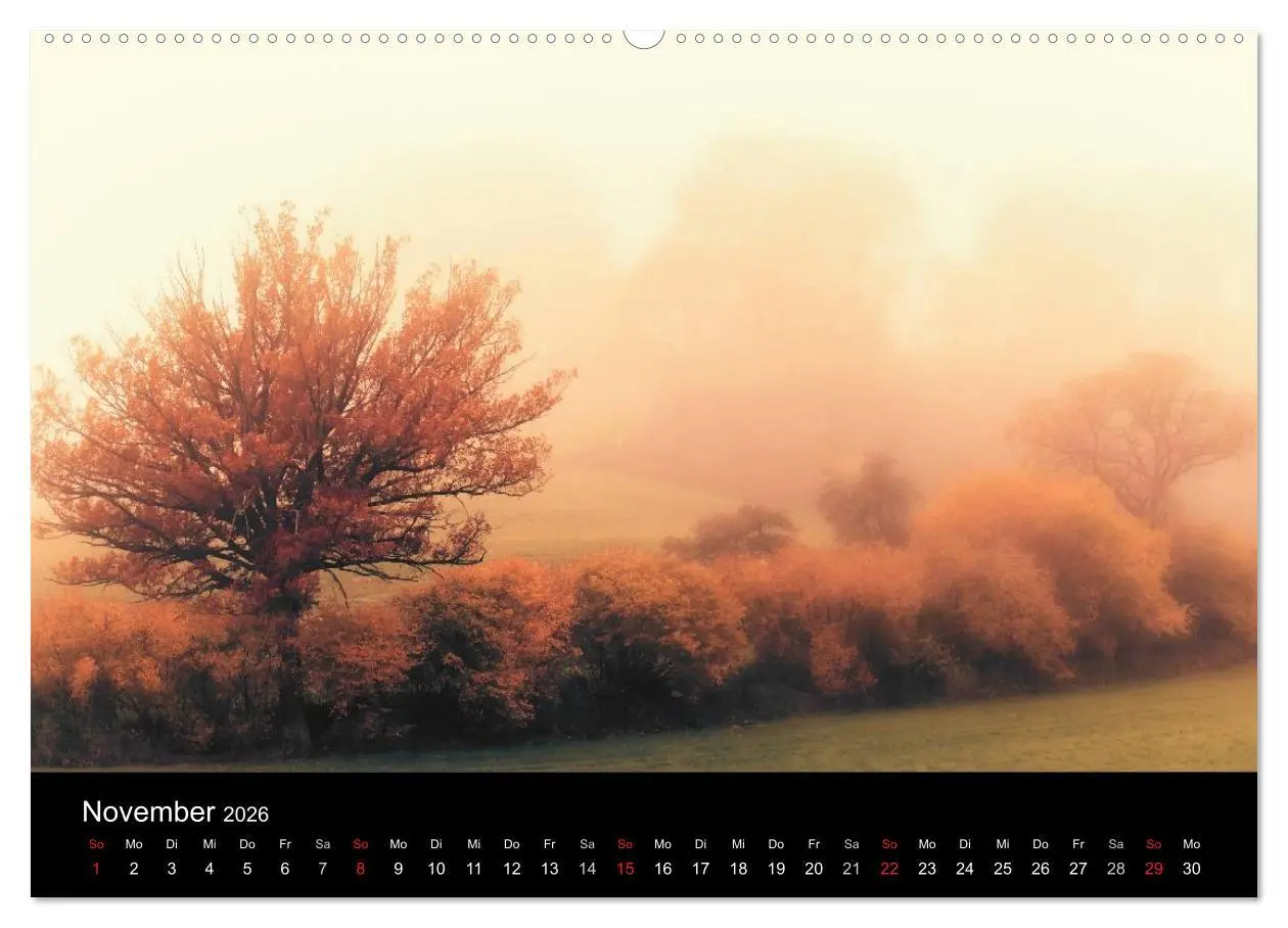 Bild: 9783516001013 | Schwabens Schönheit (Wandkalender 2026 DIN A2 quer), CALVENDO...