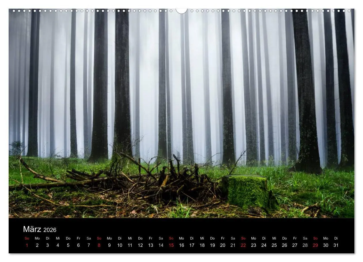 Bild: 9783516001013 | Schwabens Schönheit (Wandkalender 2026 DIN A2 quer), CALVENDO...