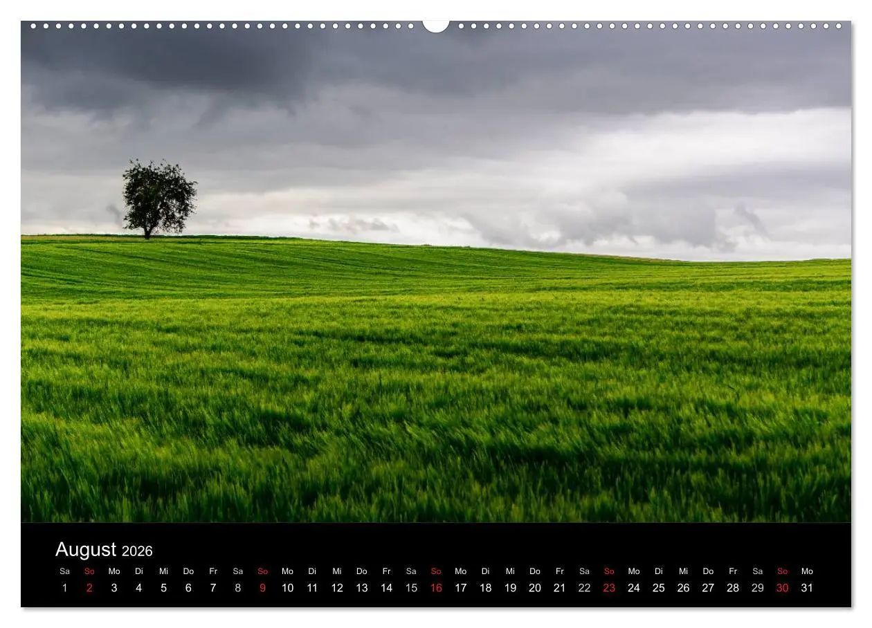 Bild: 9783516001013 | Schwabens Schönheit (Wandkalender 2026 DIN A2 quer), CALVENDO...