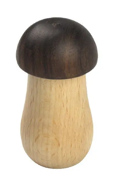 Cover: 4250258311113 | Rassel-Pilz | Karte mit Kabelbinder | 2018 | Voggenreiter