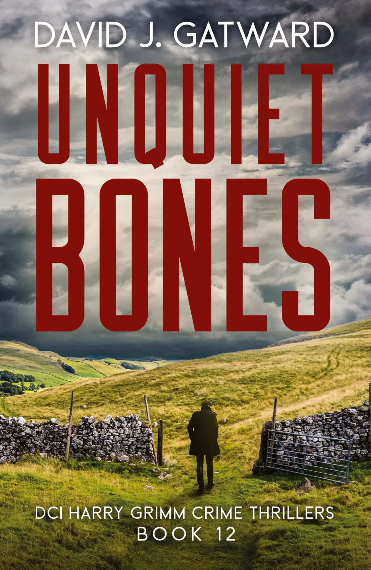 Cover: 9781917001113 | Unquiet Bones | David J. Gatward | Taschenbuch | Englisch | 2023
