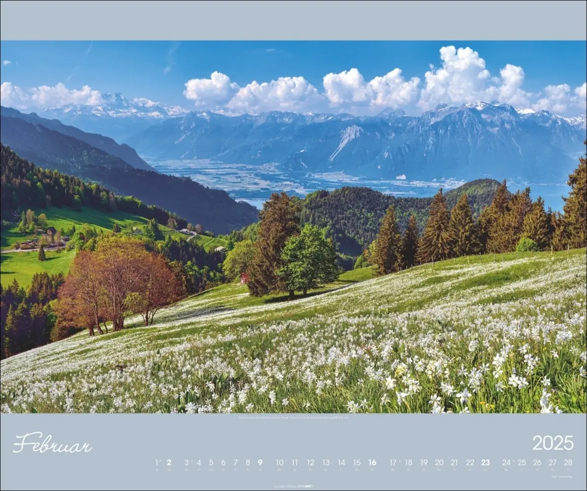 Bild: 9783839901113 | Alpen im Licht Kalender 2025 | Kalender | Spiralbindung | Deutsch