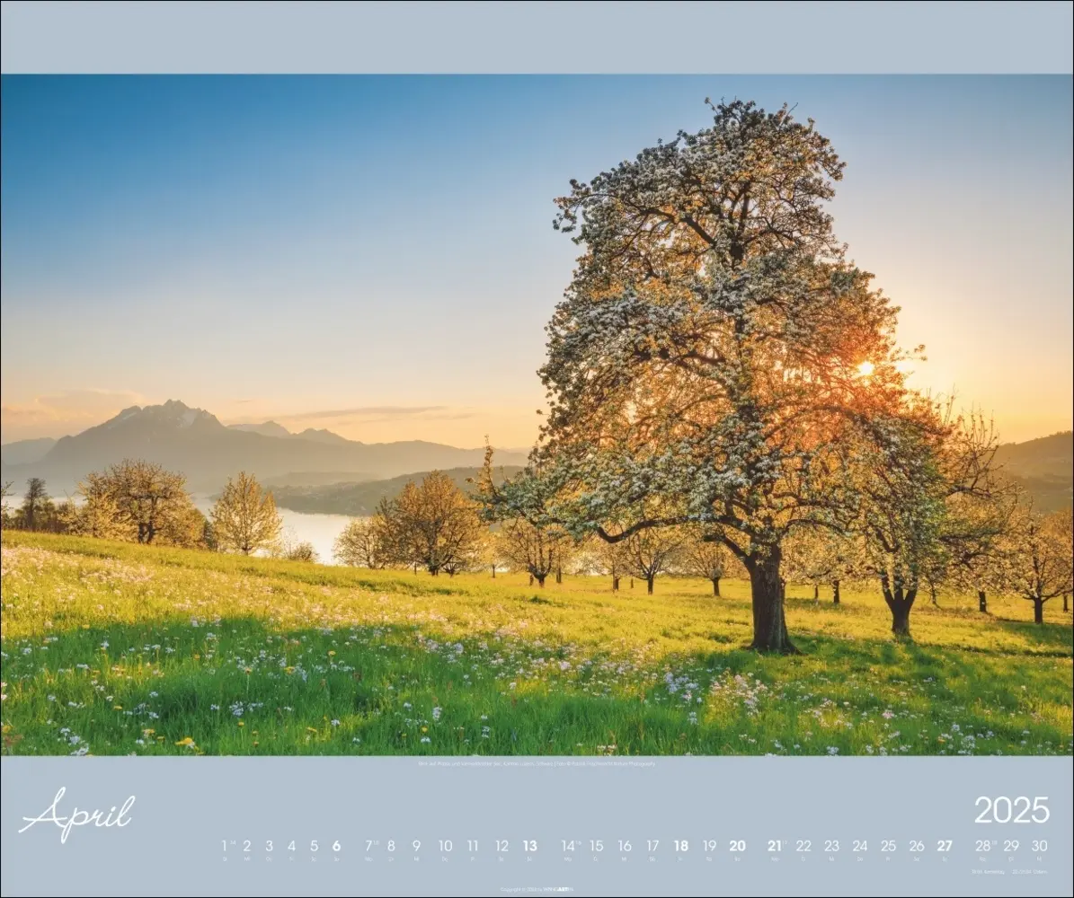 Bild: 9783839901113 | Alpen im Licht Kalender 2025 | Kalender | Spiralbindung | Deutsch