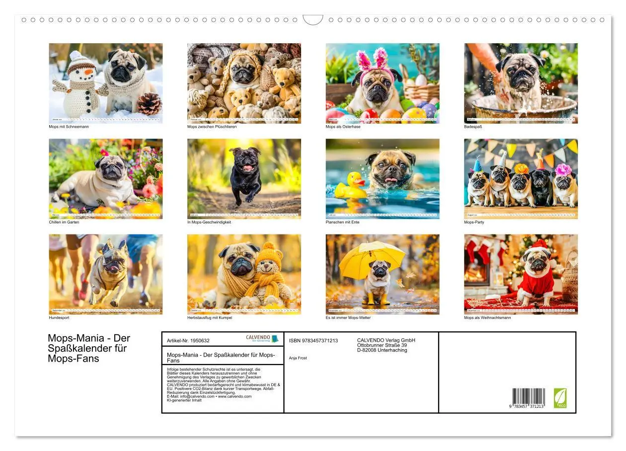 Bild: 9783457371213 | Mops-Mania - Der Spaßkalender für Mops-Fans (Wandkalender 2026 DIN...