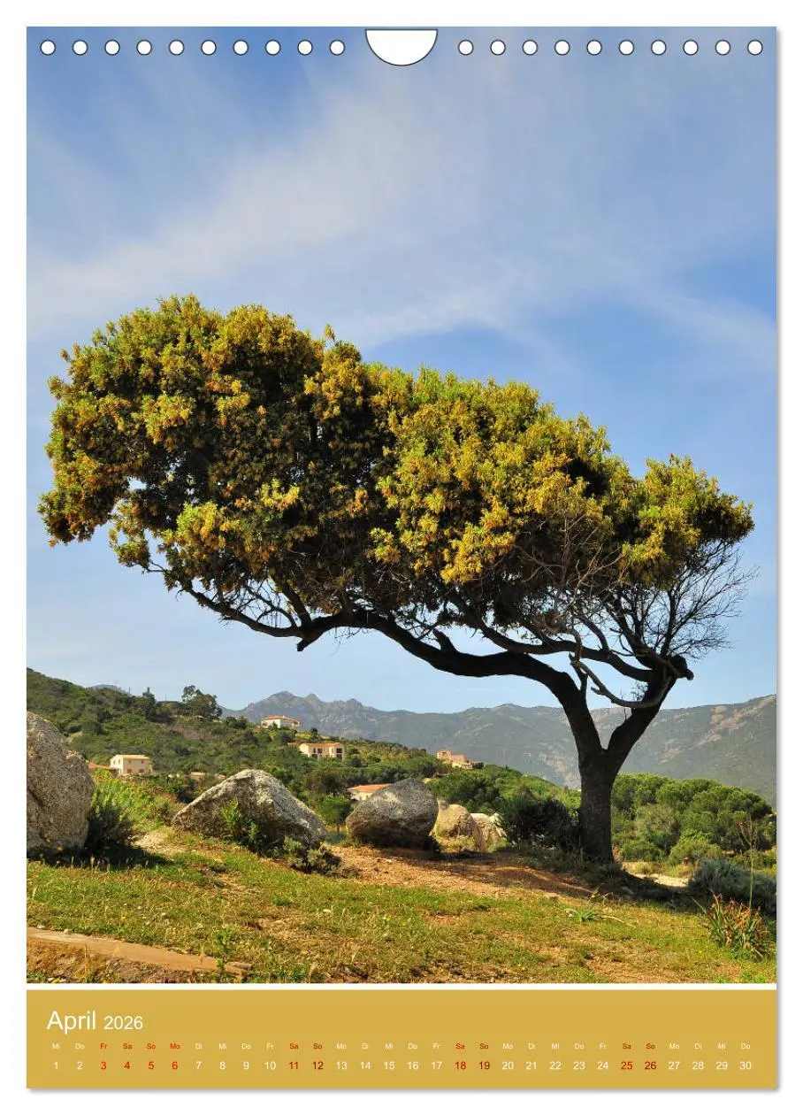 Bild: 9783516391213 | Korsika - Felsen und Meer (Wandkalender 2026 DIN A4 hoch), CALVENDO...