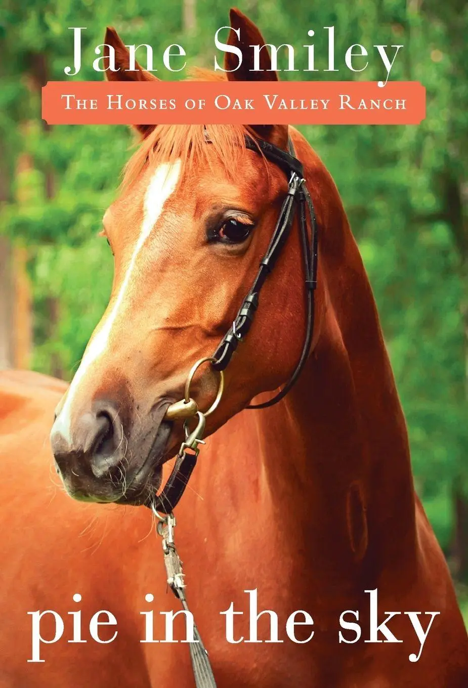 Cover: 9780375871313 | Pie in the Sky | Book Four of the Horses of Oak Valley Ranch | Smiley