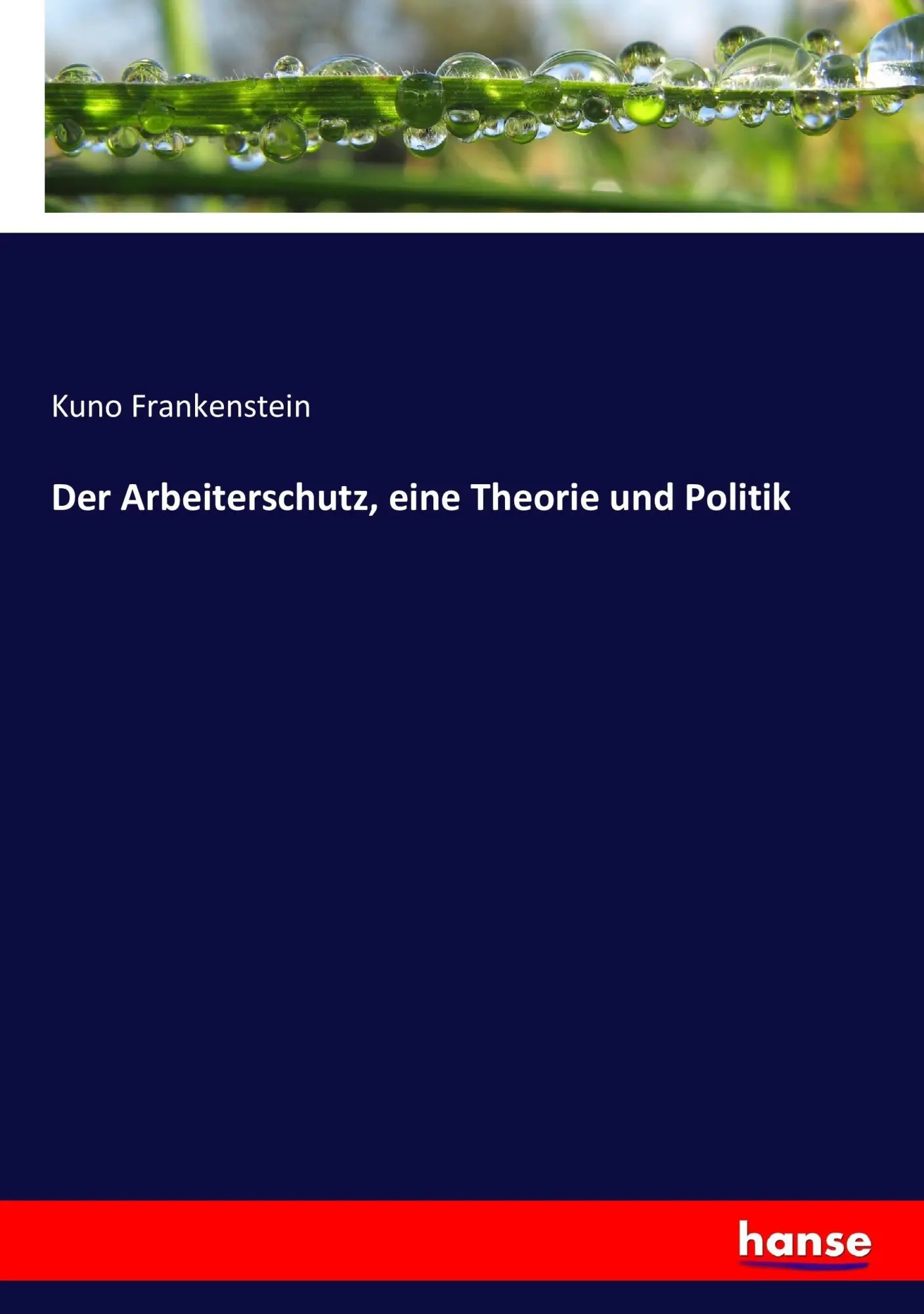 Der Arbeiterschutz eine Theorie und Politik - Kuno Frankenstein Kartoniert (TB)