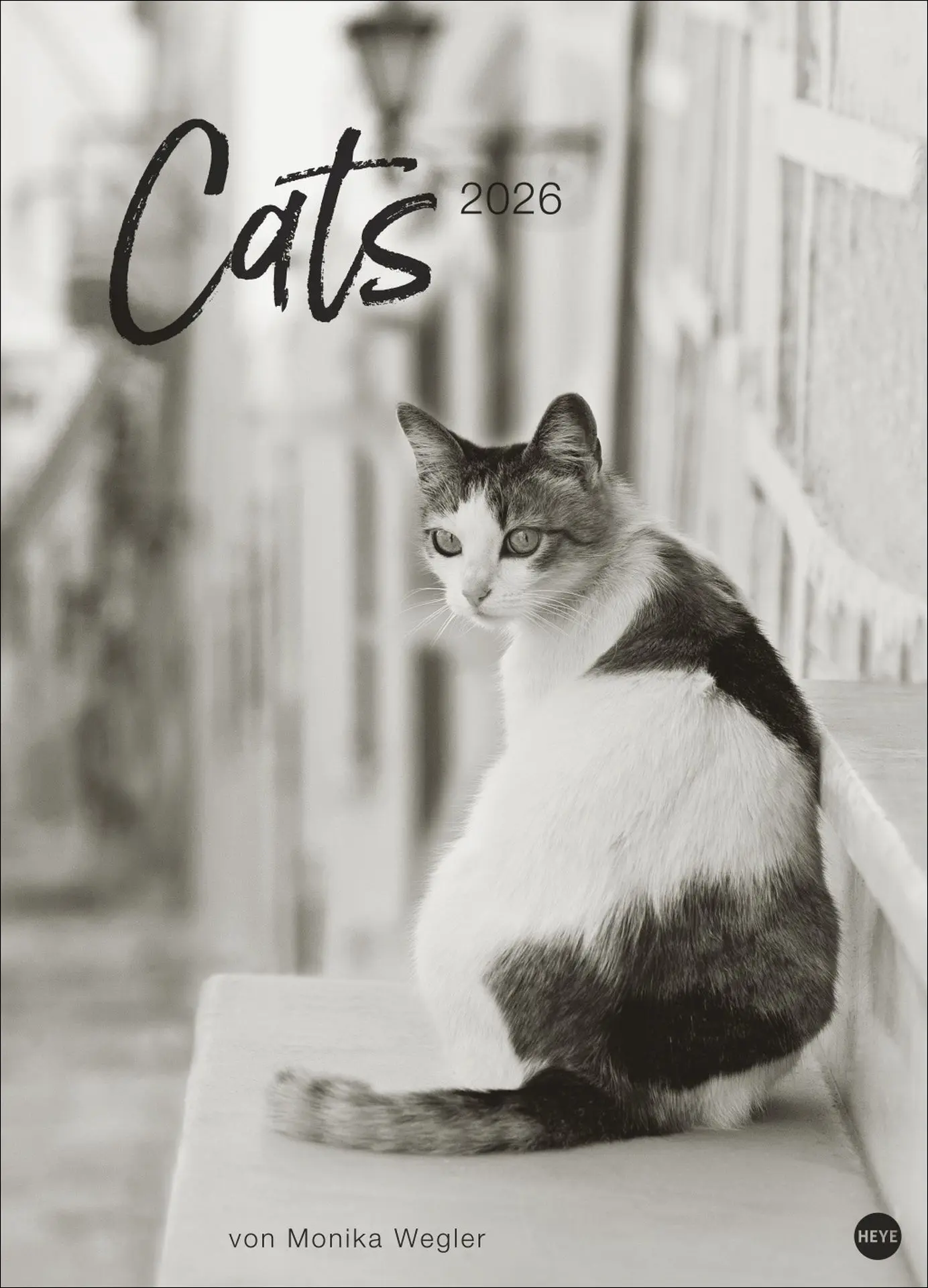 Cover: 9783756411313 | Cats Edition Kalender 2026 | Monika Wegler | Kalender | Spiralbindung