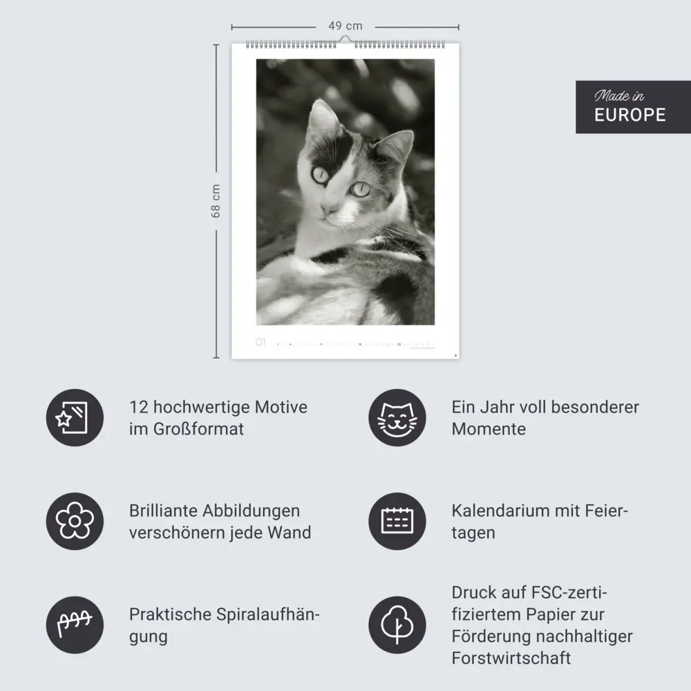 Bild: 9783756411313 | Cats Edition Kalender 2026 | Monika Wegler | Kalender | Spiralbindung