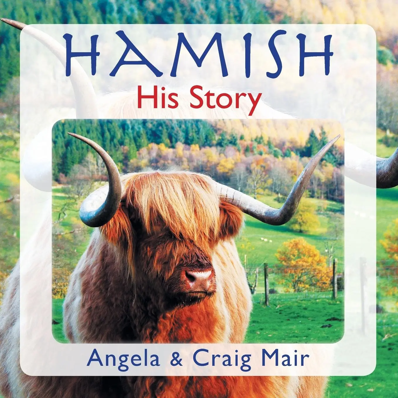 Cover: 9780993311413 | Hamish - His Story | Angela Mair (u. a.) | Taschenbuch | Englisch