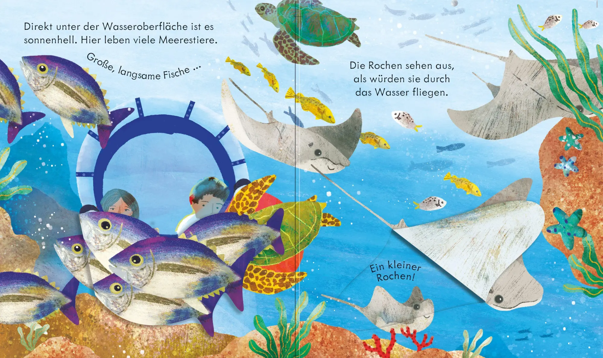 Bild: 9781035701513 | Guck mal, wer da ist! Reise zum Meeresgrund | Anna Milbourne | Buch