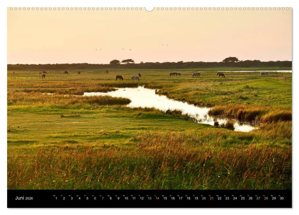 Bild: 9783516051513 | Sehnsucht Hiddensee 2026 (hochwertiger Premium Wandkalender 2026...
