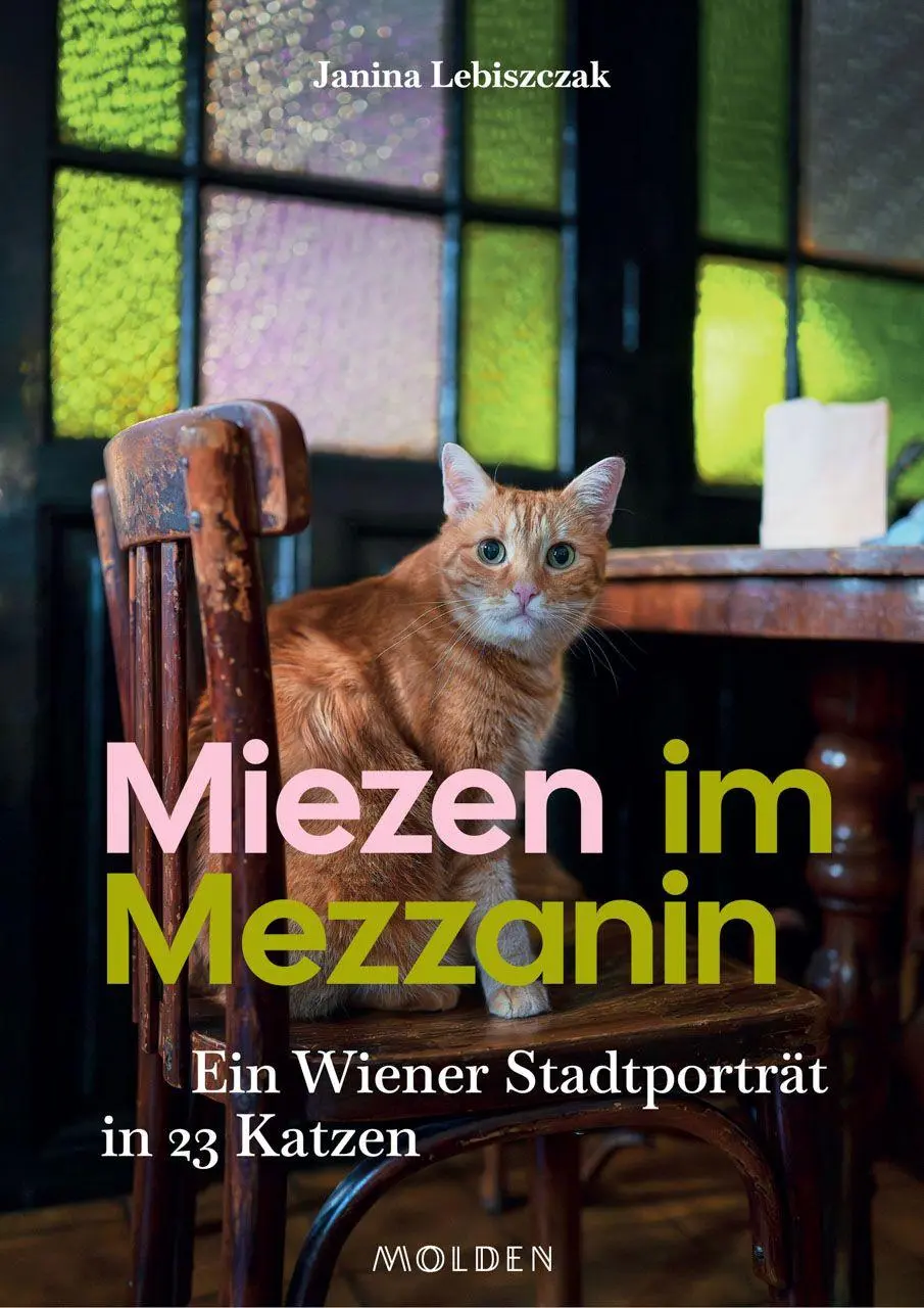 Cover: 9783222151613 | Miezen im Mezzanin | Ein Wiener Stadtporträt in 23 Katzen | Lebiszczak
