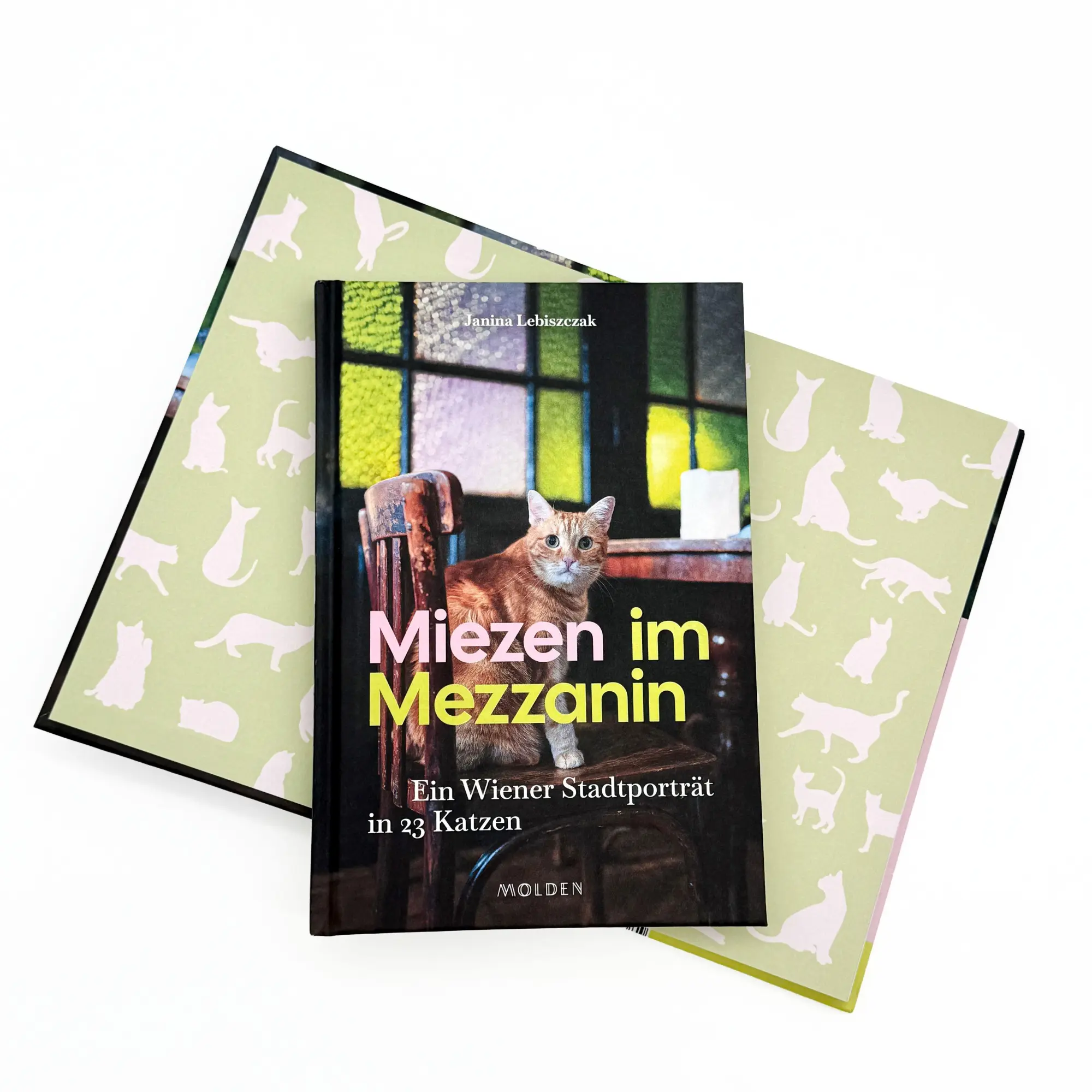 Bild: 9783222151613 | Miezen im Mezzanin | Ein Wiener Stadtporträt in 23 Katzen | Lebiszczak