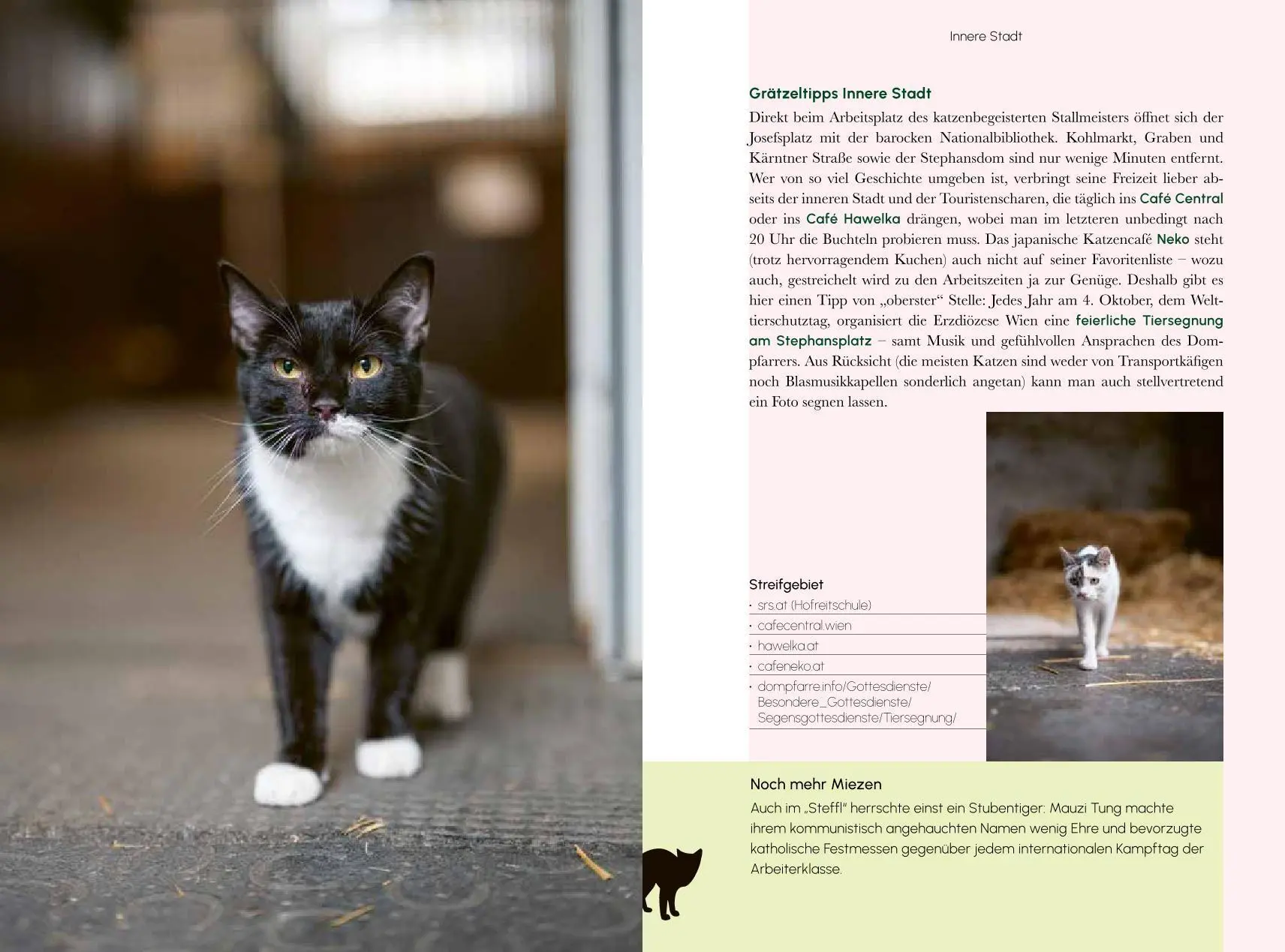 Bild: 9783222151613 | Miezen im Mezzanin | Ein Wiener Stadtporträt in 23 Katzen | Lebiszczak