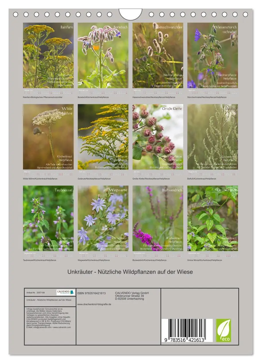 Bild: 9783516421613 | Unkräuter - Nützliche Wildpflanzen auf der Wiese (Wandkalender 2026...