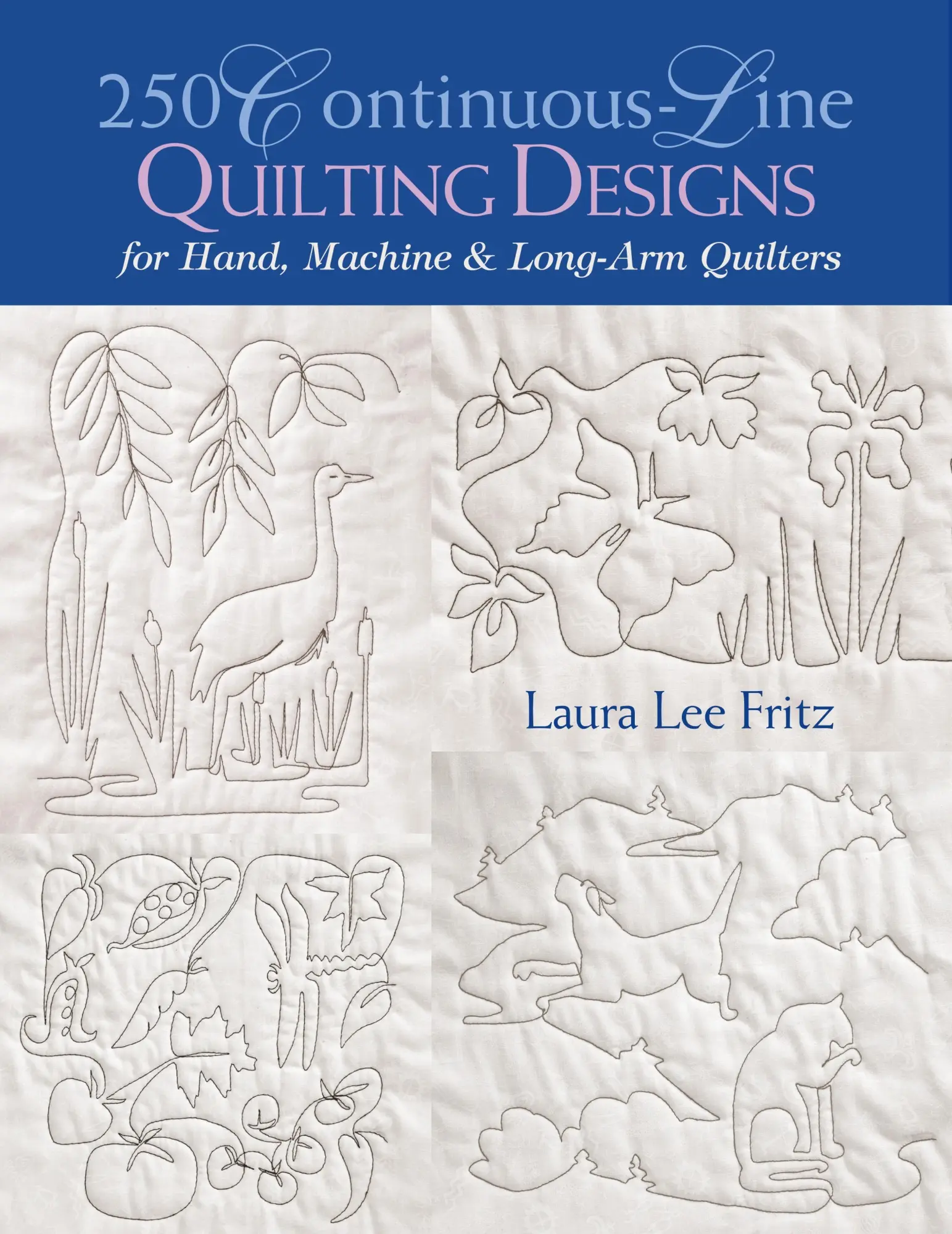 Cover: 9781571201713 | 250 Continuous-Line Quilting Designs | Laura Lee Fritz | Taschenbuch