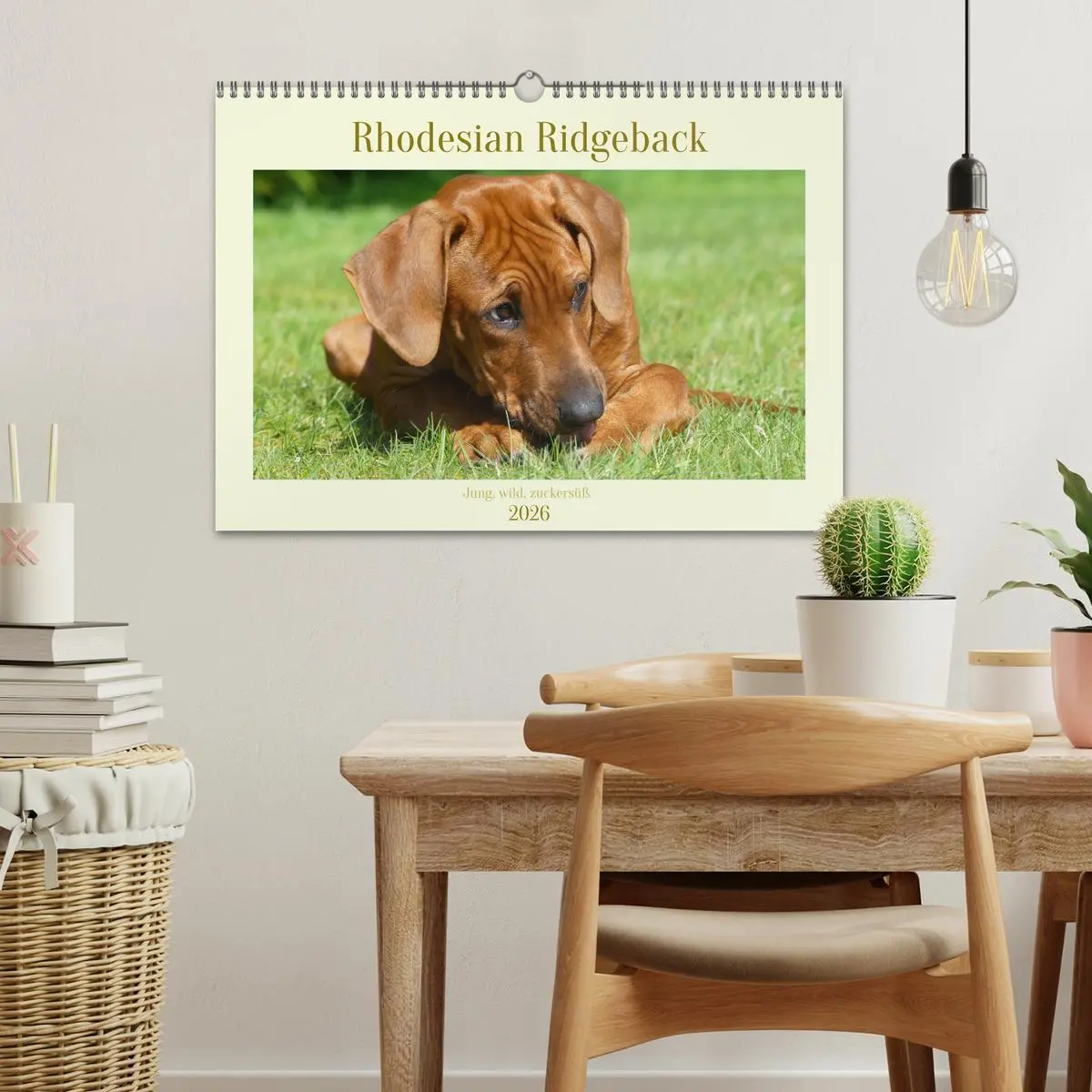 Bild: 9783457561713 | Rhodesian Ridgeback - Jung, wild, zuckersüß (Wandkalender 2026 DIN...