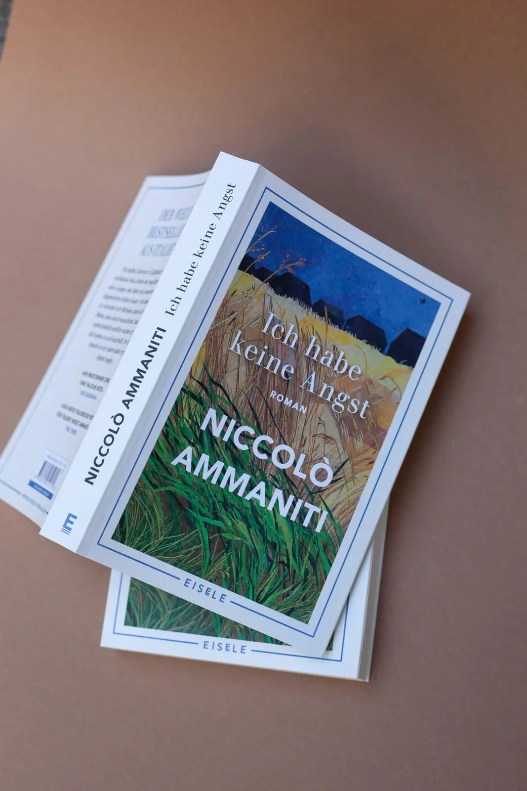 Bild: 9783961611713 | Ich habe keine Angst | Niccolò Ammaniti | Taschenbuch | 256 S. | 2023