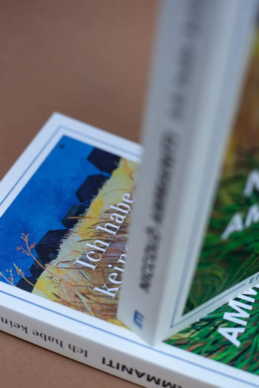 Bild: 9783961611713 | Ich habe keine Angst | Niccolò Ammaniti | Taschenbuch | 256 S. | 2023