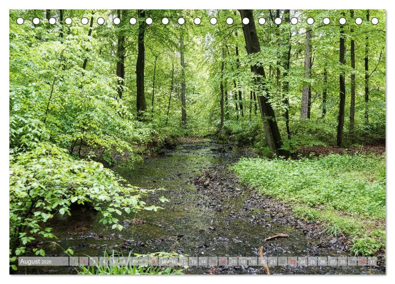 Bild: 9783457791813 | Teutoburger Wald - Natur und Kultur (Tischkalender 2026 DIN A5...